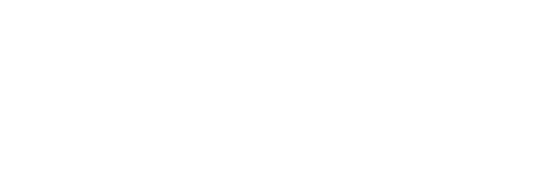 Viarbros Mobile logo